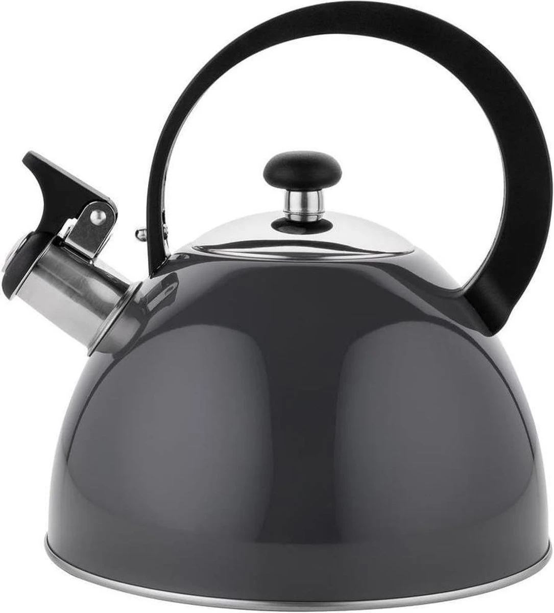 Florina Brillo Fluitketel 2,5L Voor Alle Warmtebronnen - Waterketel - Donkergrijs 1 Florina Brillo Fluitketel 2,5L Voor Alle Warmtebronnen - Waterketel - Donkergrijs