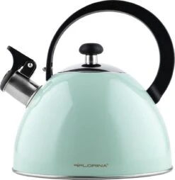 Florina Brillo Fluitketel 2,5L Voor Alle Warmtebronnen - Waterketel - Mint Groen