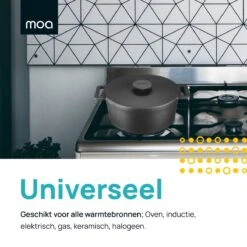 MOA Gietijzeren Braadpan - Inhoud 7,1 Liter - 29CM - Rond - Alle Warmtebronnen - Ook Voor Inductie - Gewicht 7,6 Kg - Zwart - MC29B -Kookwereld Winkel 1200x1200 892