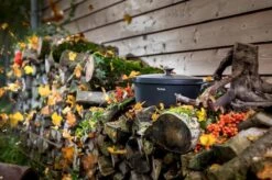 Tefal Trattoria Braadpan - Ø28 Cm - Inclusief Deksel 28 Tefal Trattoria Braadpan - Ø28 Cm - Inclusief Deksel -Kookwereld Winkel 1200x799 69