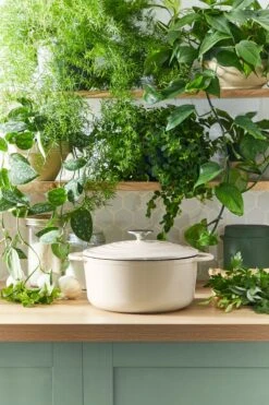 Tefal LOV Braadpan - 5L - Ø25 Cm - Beige -Kookwereld Winkel 800x1200 21