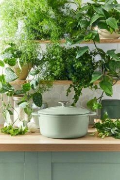 Tefal LOV Braadpan - 5L - Ø25 Cm - Groen 23 Tefal LOV Braadpan - 5L - Ø25 Cm - Groen -Kookwereld Winkel 800x1200 23